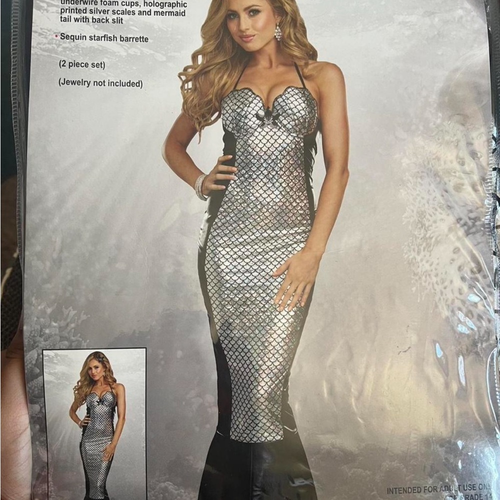 Dreamgirl Silver and Black Mermaid Dress